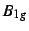 $B_{1g}$