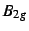 $B_{2g}$