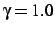 $\gamma=1.0$