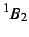 $^1B_2$