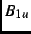 $B_{1u}$