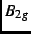 $B_{2g}$