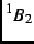 $^1B_2$