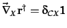 ${\vec\nabla}_X{\bf r}^\dagger=\delta_{CX}{\bf 1}$