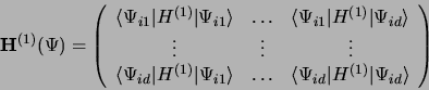 \begin{displaymath}
{\bf H}^{(1)}(\Psi) = \left(\begin{array}{ccc}
\langle\Psi_{...
...\Psi_{id}\vert H^{(1)}\vert\Psi_{id}\rangle \end{array}\right)
\end{displaymath}