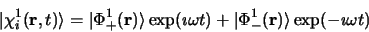 \begin{displaymath}
\vert\chi^{1}_i ({\bf r}, t)\rangle = \vert\Phi^{1}_+ ({\bf ...
...ega t) + \vert\Phi^{1}_-({\bf r})\rangle \exp(-\imath\omega t)
\end{displaymath}